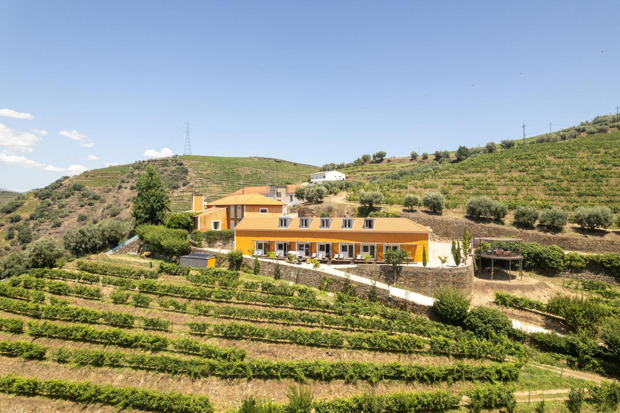 Quinta Do Vallado - Douro Wine Hotel เปโซดาเรกวา ภายนอก รูปภาพ