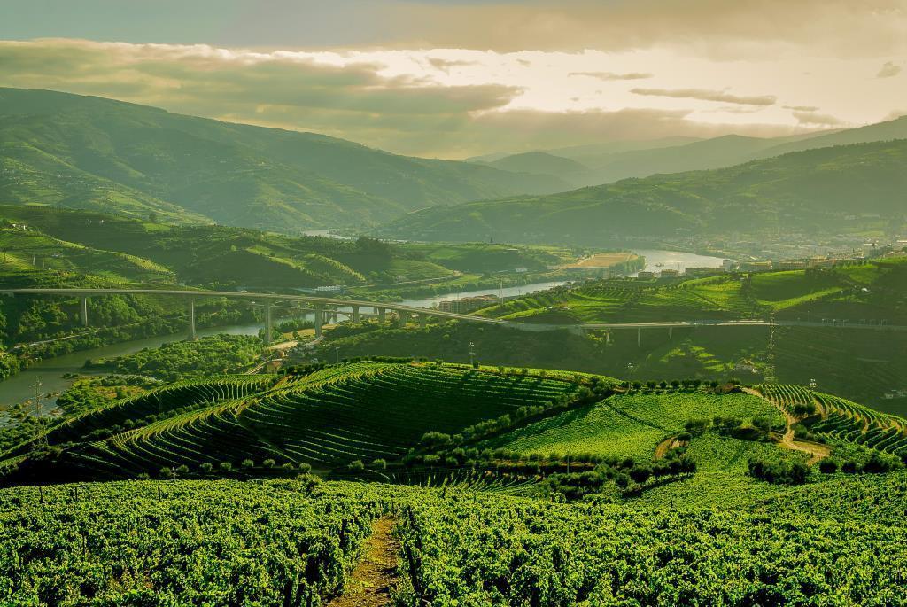 Quinta Do Vallado - Douro Wine Hotel เปโซดาเรกวา ภายนอก รูปภาพ