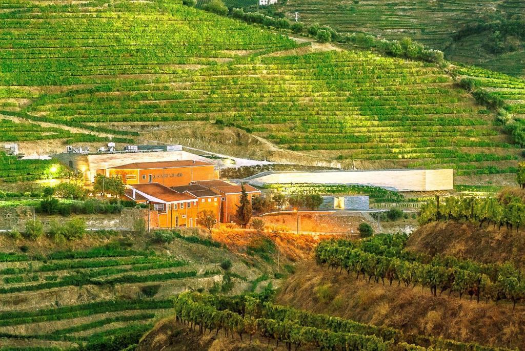 Quinta Do Vallado - Douro Wine Hotel เปโซดาเรกวา ภายนอก รูปภาพ