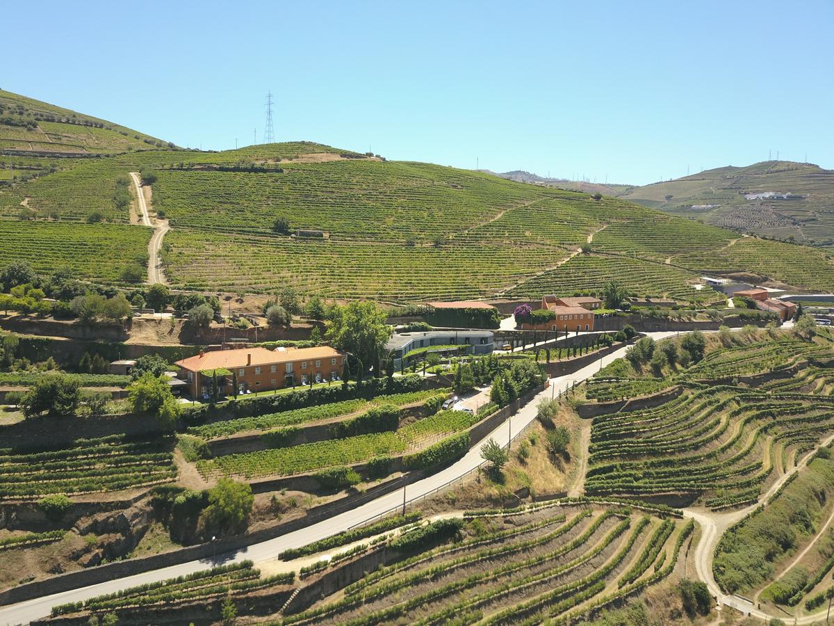 Quinta Do Vallado - Douro Wine Hotel เปโซดาเรกวา ภายนอก รูปภาพ